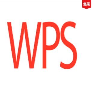 WPS WPS+云套装 办公套件